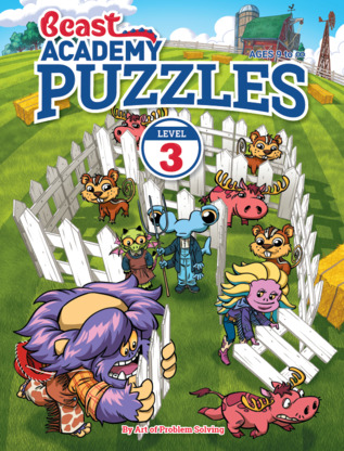 Grade 3 Puzzle Book